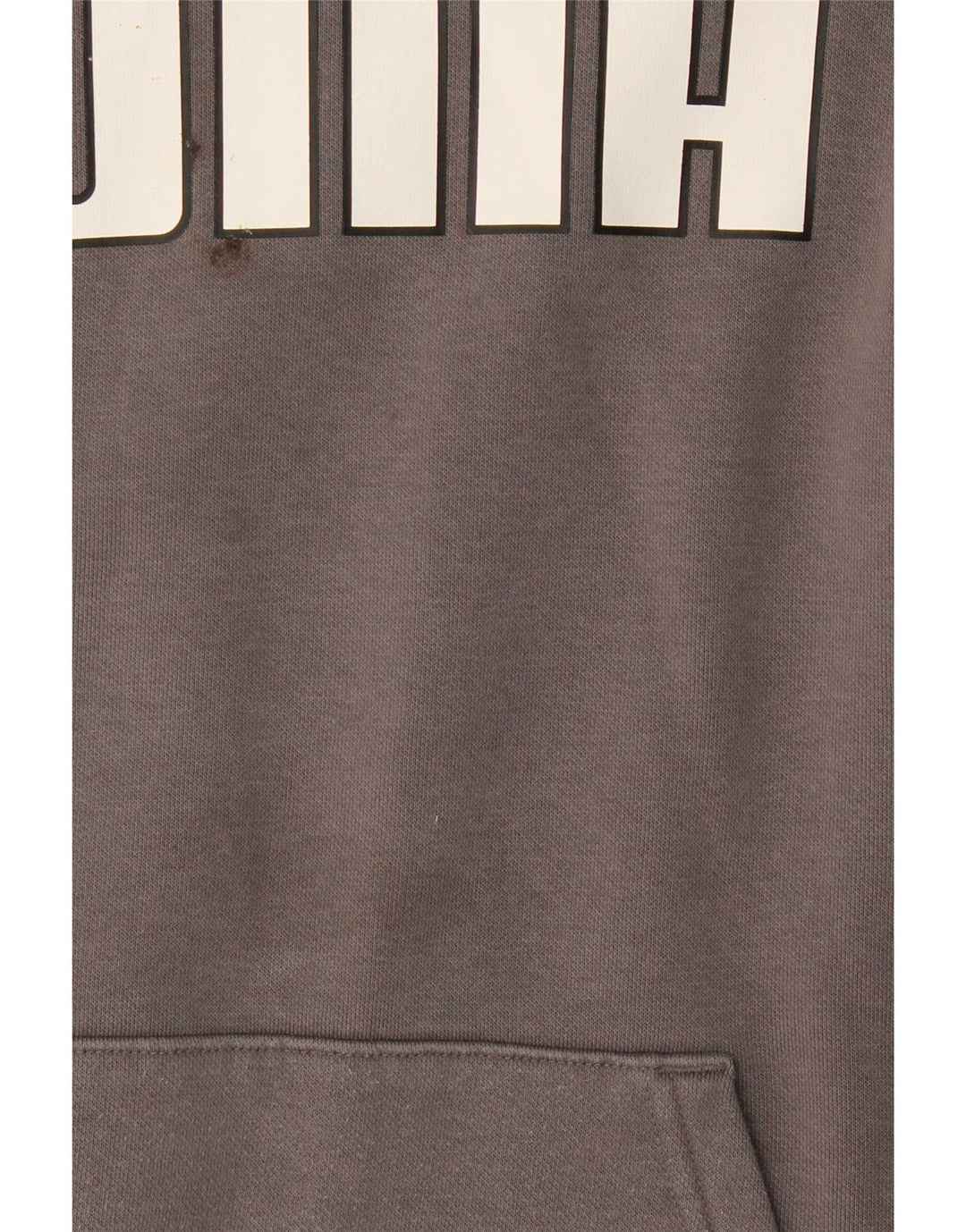 Felpa con cappuccio grafica da uomo Puma in cotone grigio medio