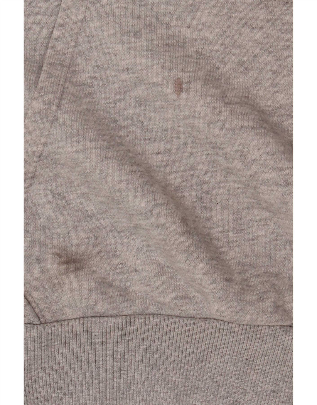 Felpa con cappuccio grafica da uomo Puma piccola in cotone grigio