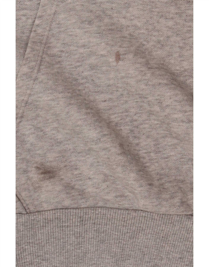 Felpa con cappuccio grafica da uomo Puma piccola in cotone grigio