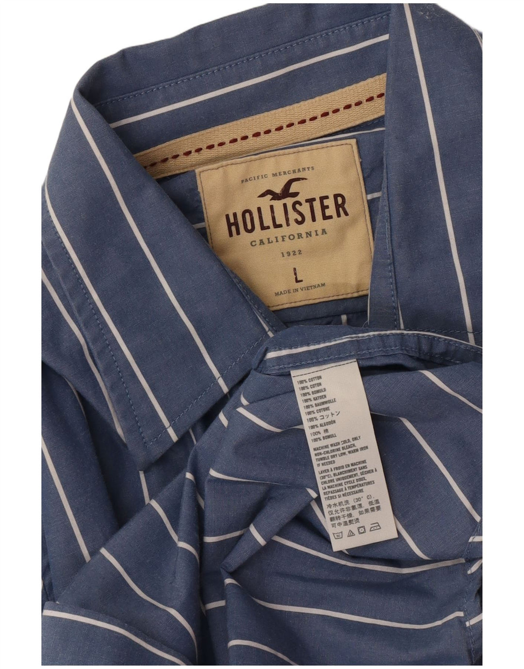 Camicia Hollister da uomo in cotone a righe grandi blu