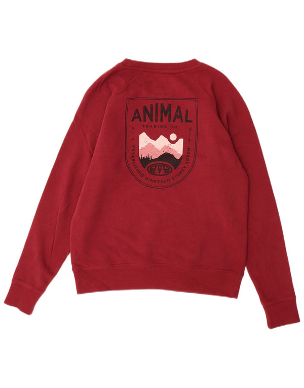 ANIMAL Felpa oversize con grafica da donna UK 10 Piccola Bordeaux