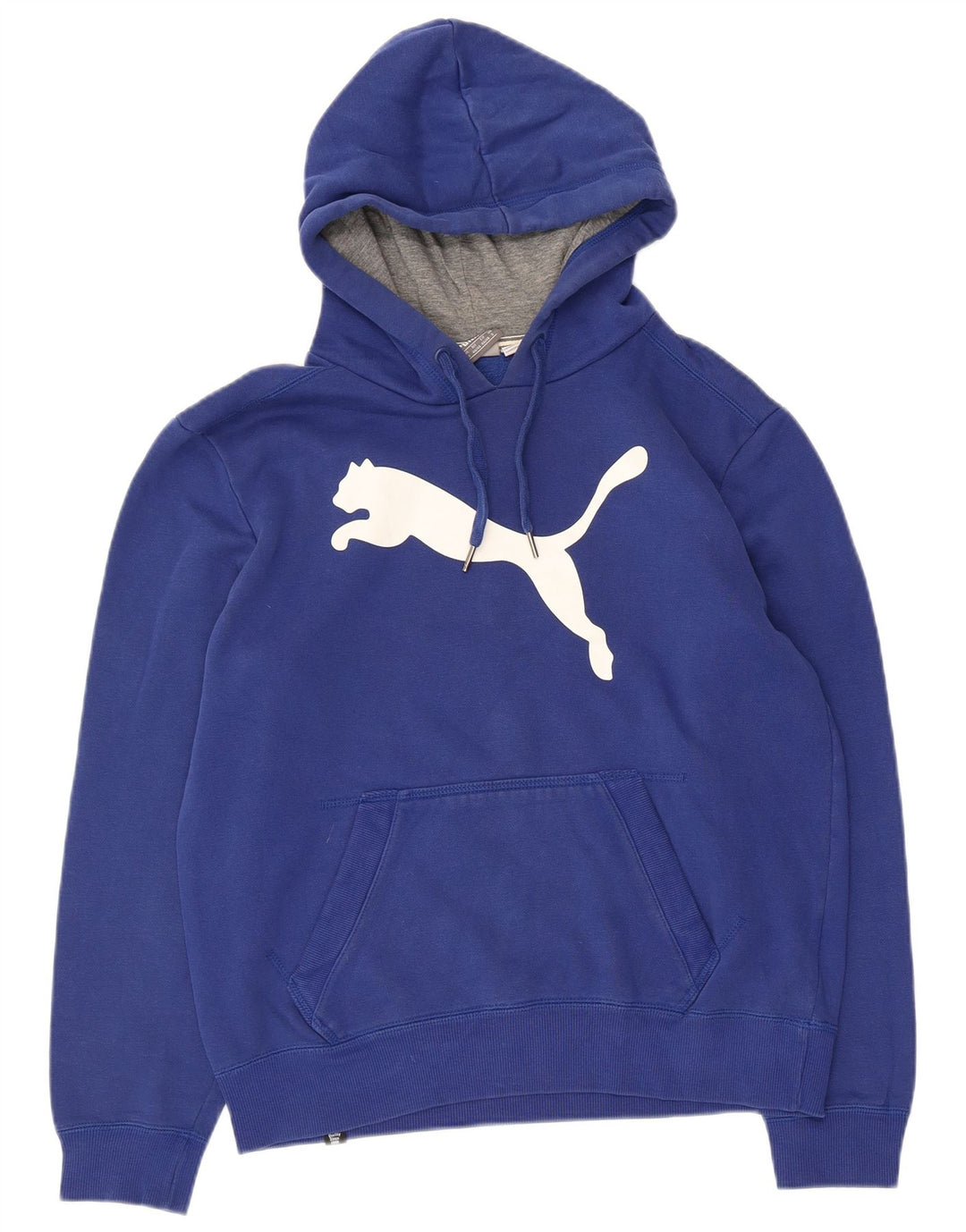 Felpa con cappuccio grafica da uomo Puma piccola in cotone blu