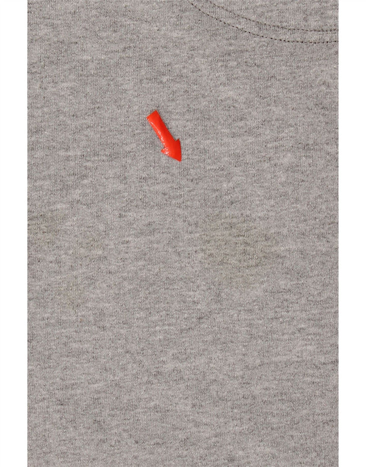 Felpa grafica da uomo Champion, maglione piccolo, cotone grigio
