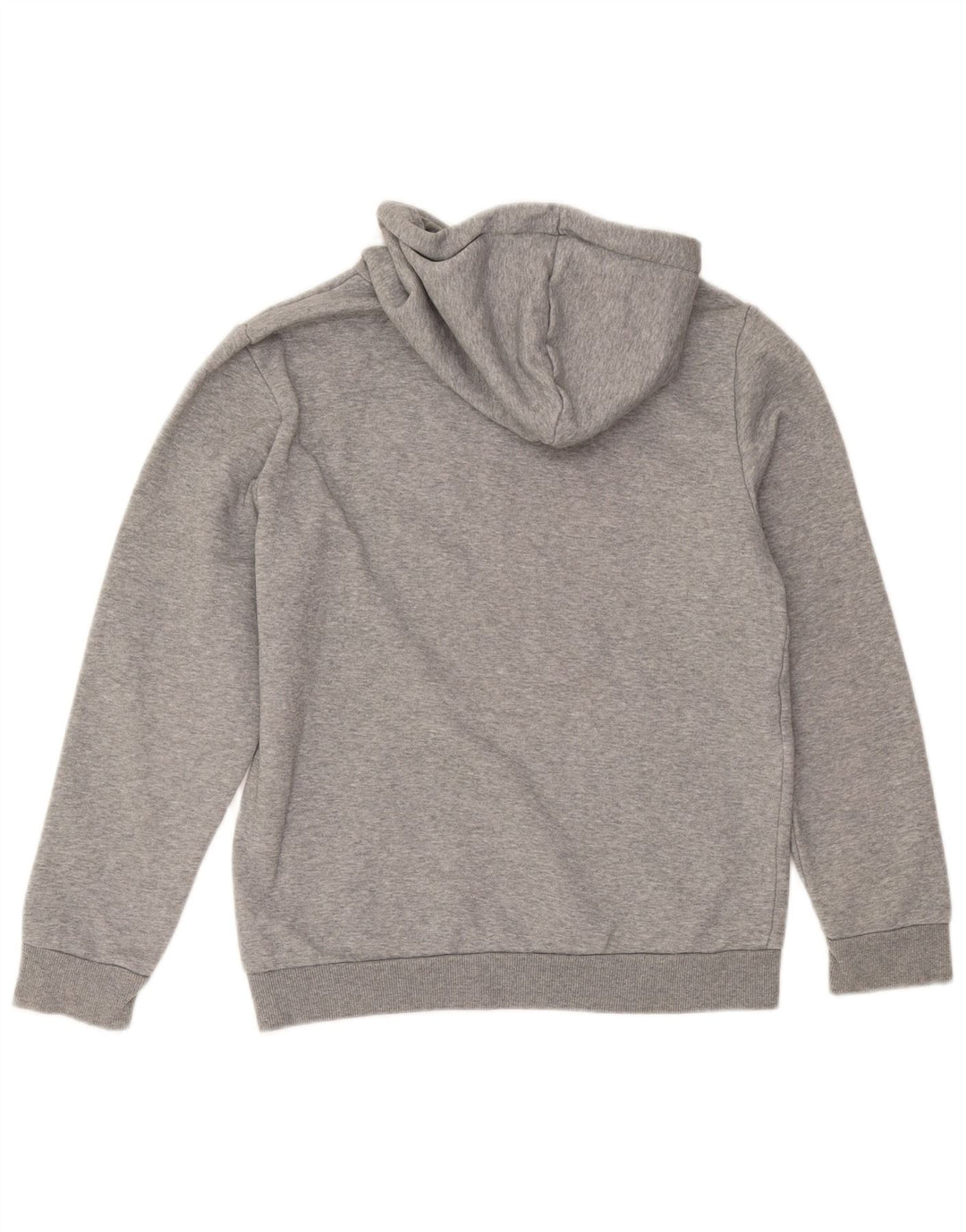 Felpa con cappuccio grafica da uomo Puma piccola in cotone grigio