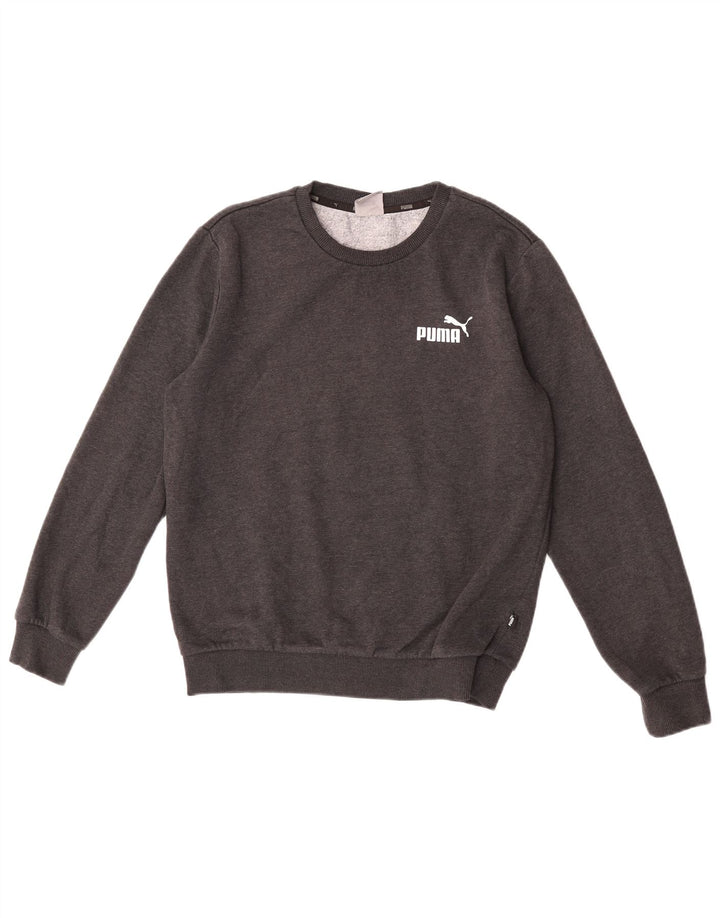 Felpa da uomo Puma Maglione piccolo in cotone grigio