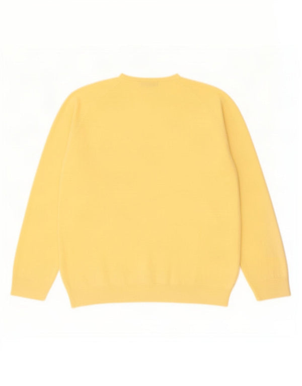 Maglione da uomo con scollo a V blu Harbour Marks & Spencer XL acrilico giallo