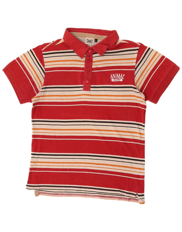 Polo da uomo Animal in cotone a righe rosse medie