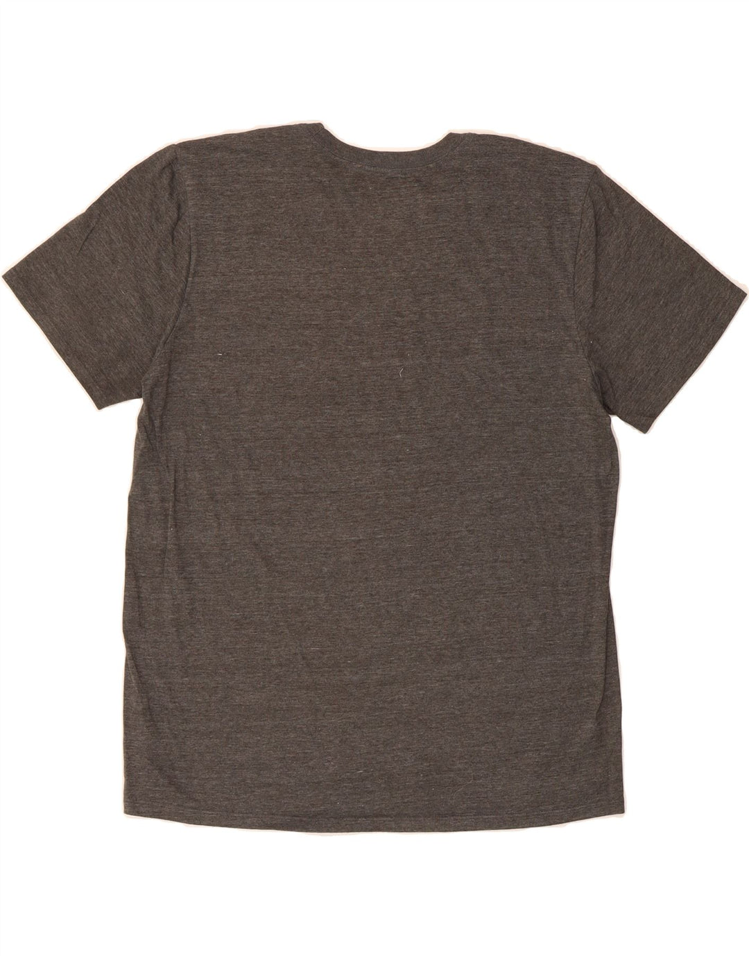 NIKE Mens Miami Graphic T-Shirt Top Large Grey Vintage Nike and Second-Hand Nike from Messina Hembry 