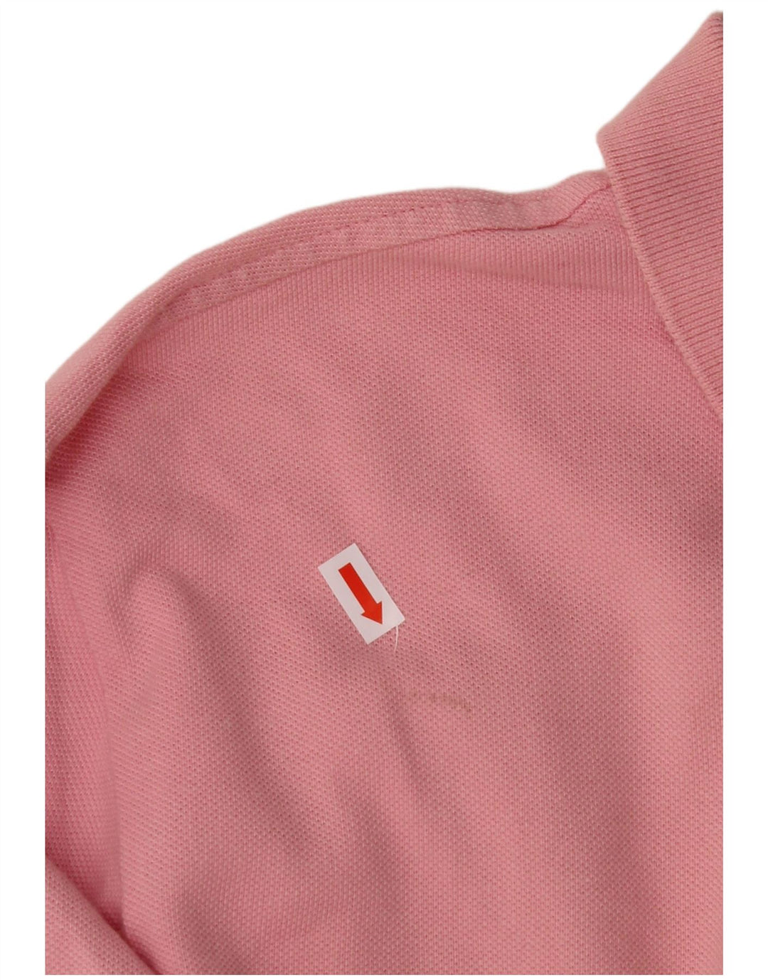 POLO RALPH LAUREN Polo da uomo a maniche lunghe su misura grande in cotone rosa