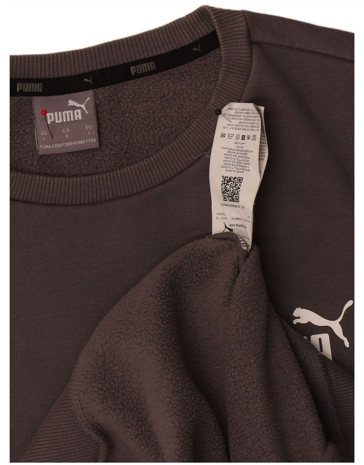 Felpa da uomo Puma Maglione grande in cotone grigio