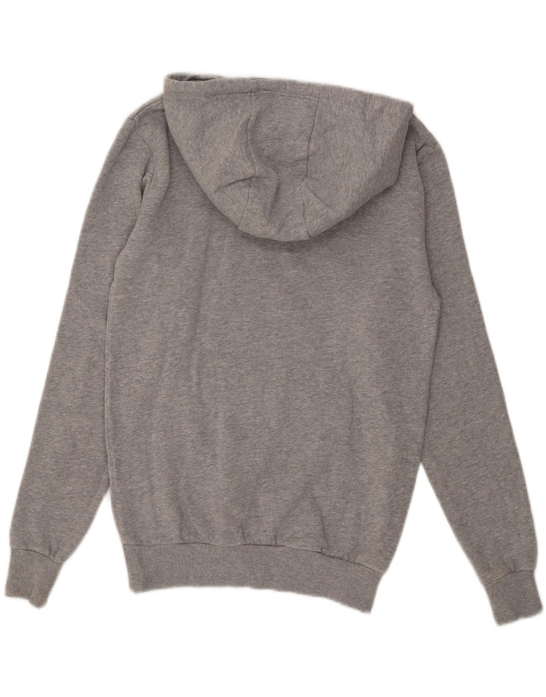 Felpa con cappuccio grafica da uomo Ellesse, piccola, in cotone grigio screziato