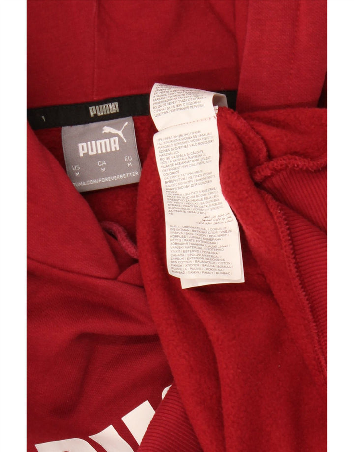 Felpa con cappuccio grafica PUMA da uomo, cotone marrone medio medio