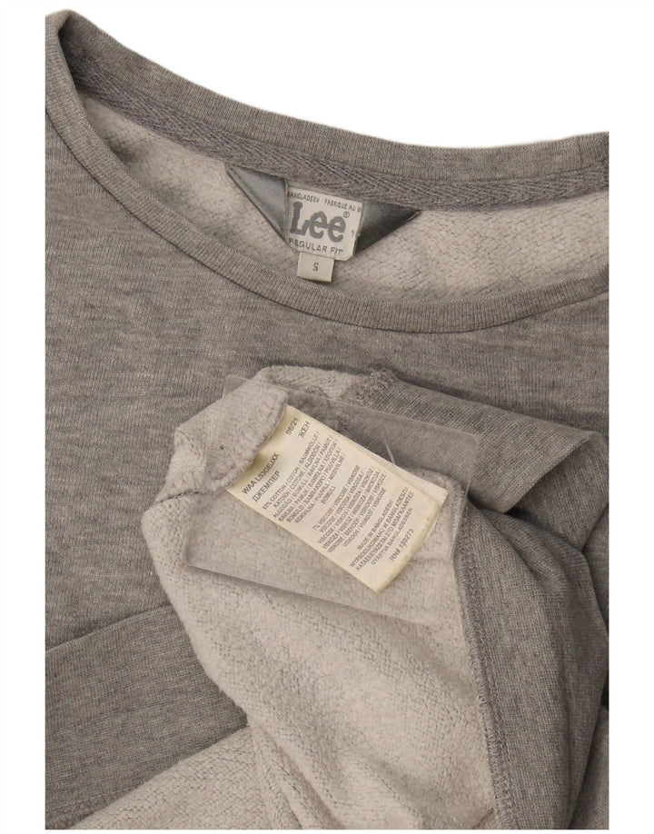 Felpa oversize da donna, vestibilità regolare, Lee, UK 10, piccola, cotone grigio