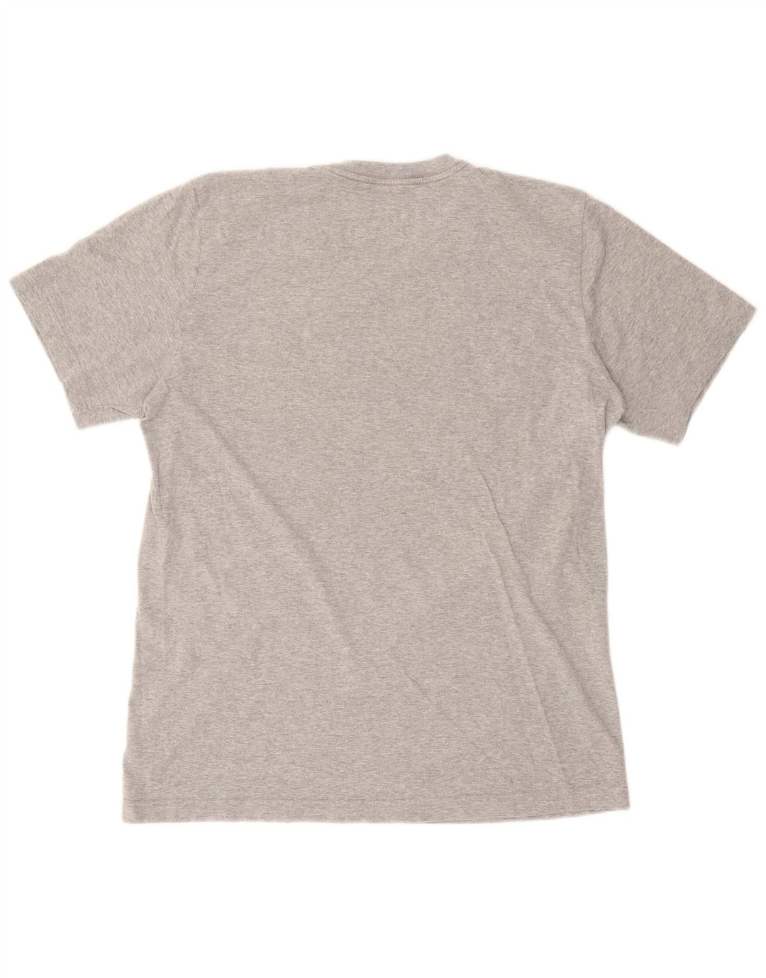 NIKE Mens Standard Fit Graphic T-Shirt Top Large Grey