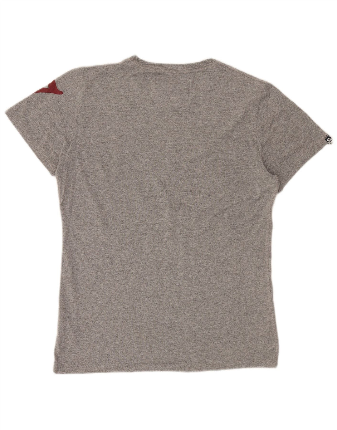 T-shirt grafica da uomo SUPERDRY Top in cotone grigio medio