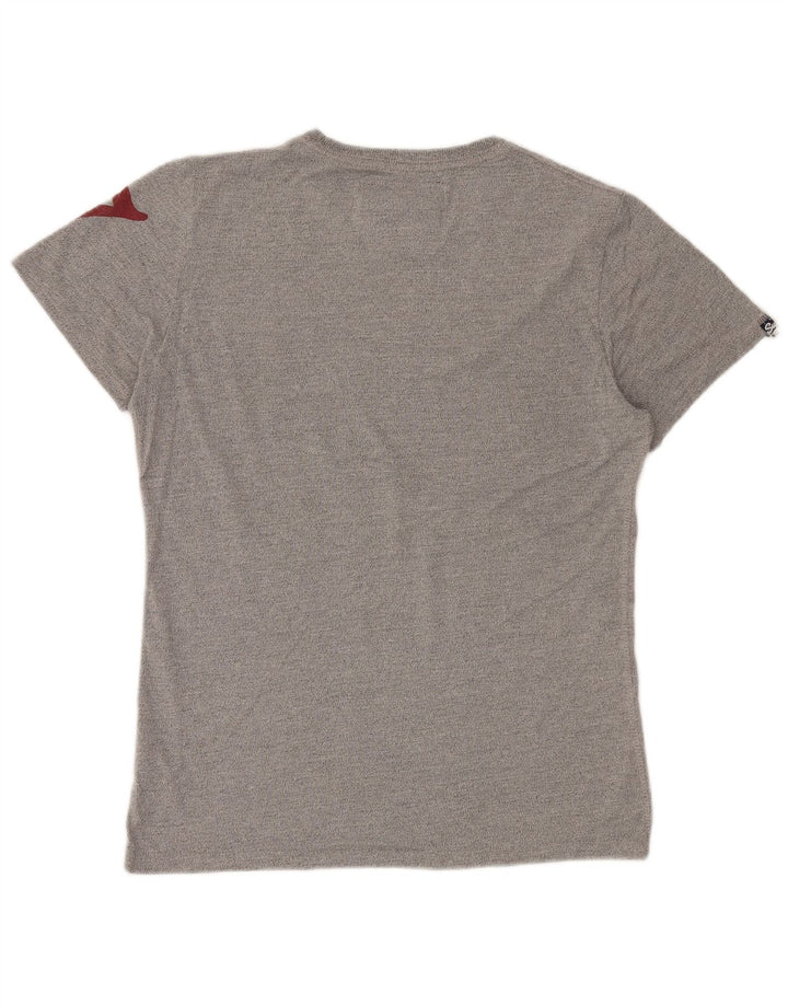 T-shirt grafica da uomo SUPERDRY Top in cotone grigio medio