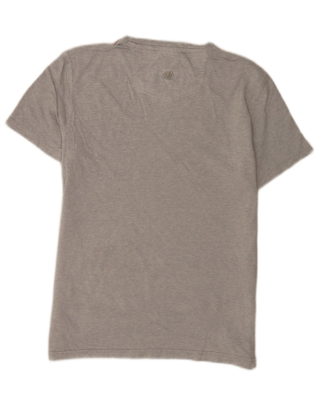 T-shirt grafica da uomo Fat Face Top in cotone chiazzato grigio piccolo