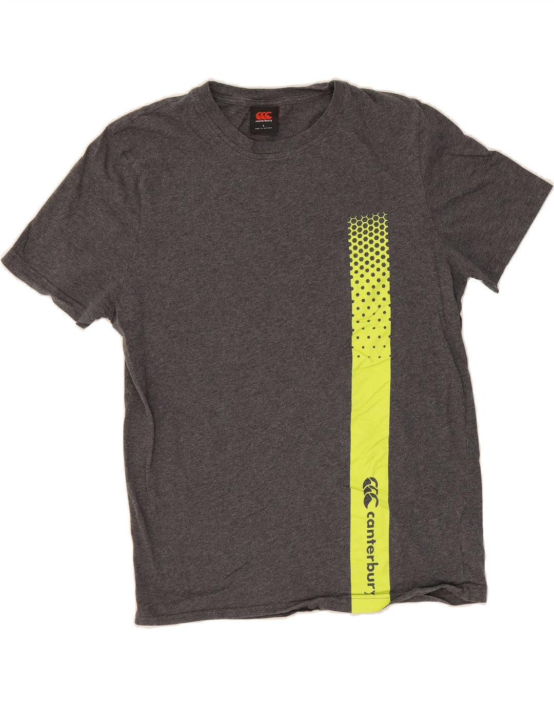 CANTERBURY Mens Graphic T-Shirt Top Large Grey Cotton Vintage Canterbury and Second-Hand Canterbury from Messina Hembry 