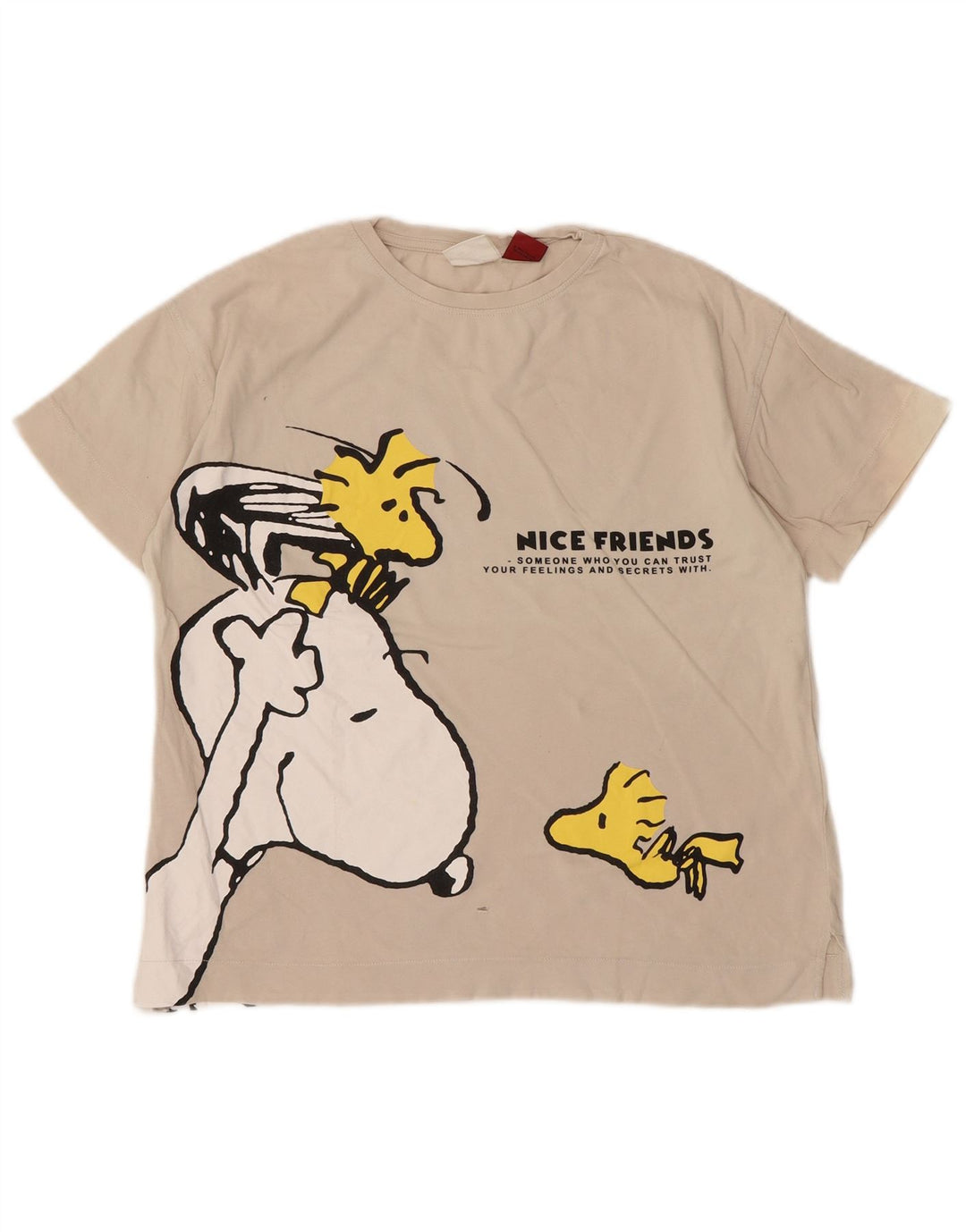 T-shirt grafica per ragazzi Zara 9-10 anni, bianco sporco