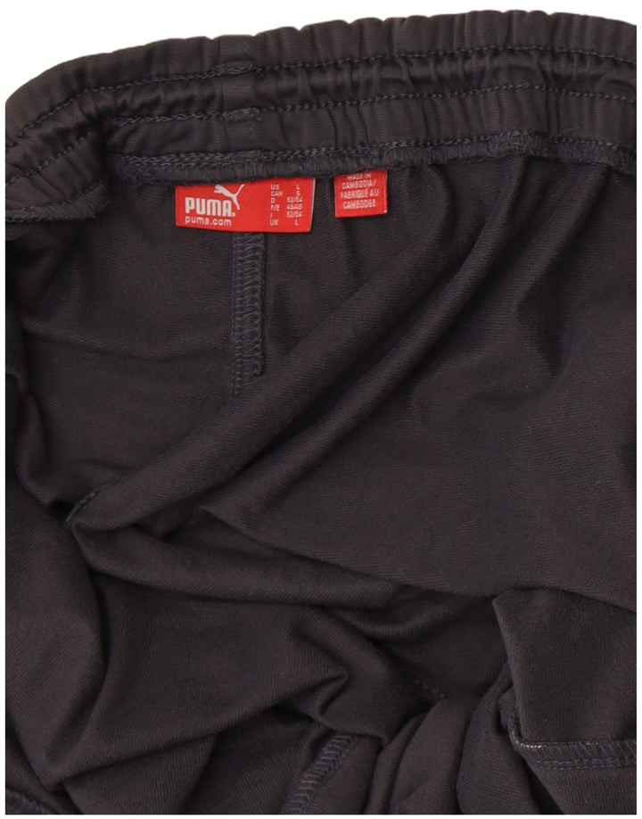 Pantaloni da tuta PUMA da uomo grandi grigi