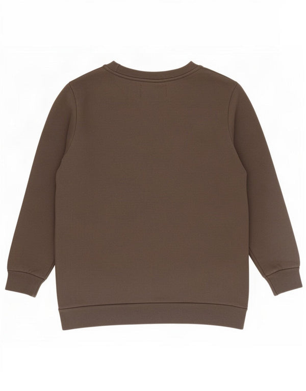 Felpa grafica da donna Calvin Klein Jeans Jumper UK 10 Small Marrone