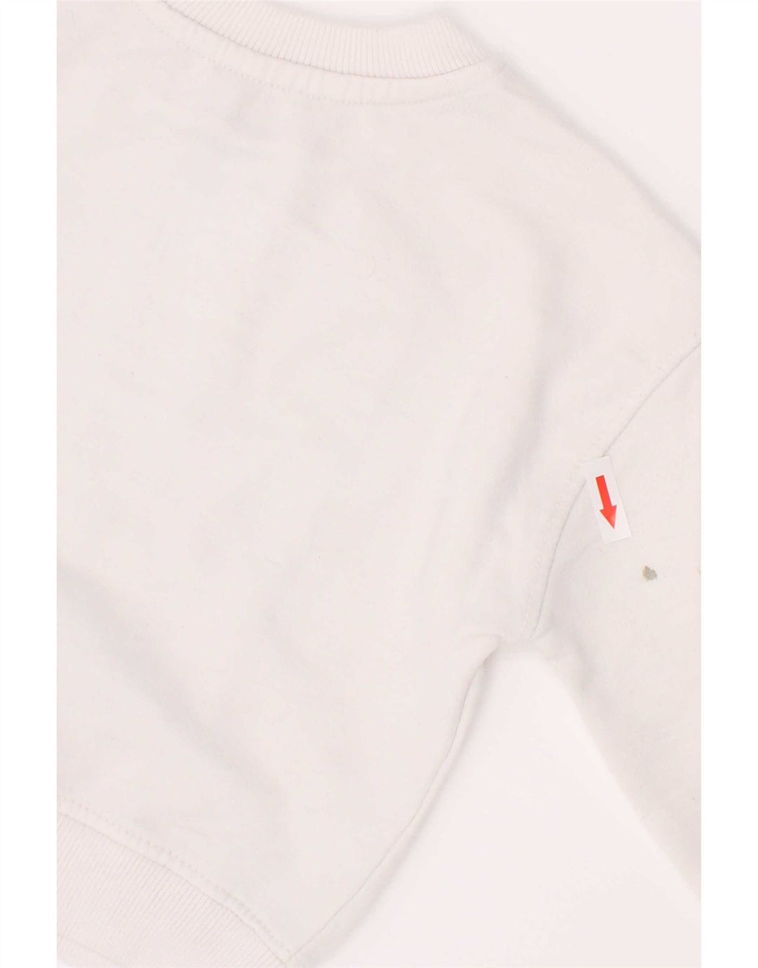 Felpa con grafica Dkny per ragazzi, 2-3 anni, cotone bianco