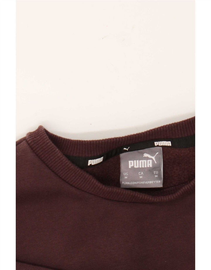 Felpa grafica da uomo Puma Marrone medio