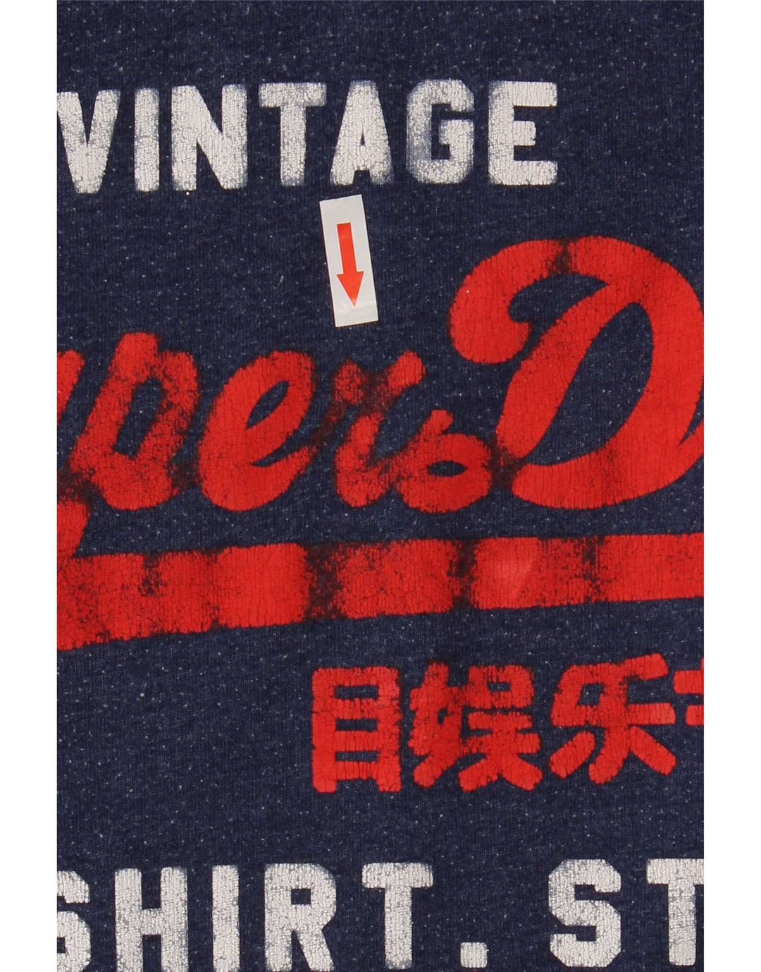 T-shirt grafica da uomo Superdry Top grande in cotone blu