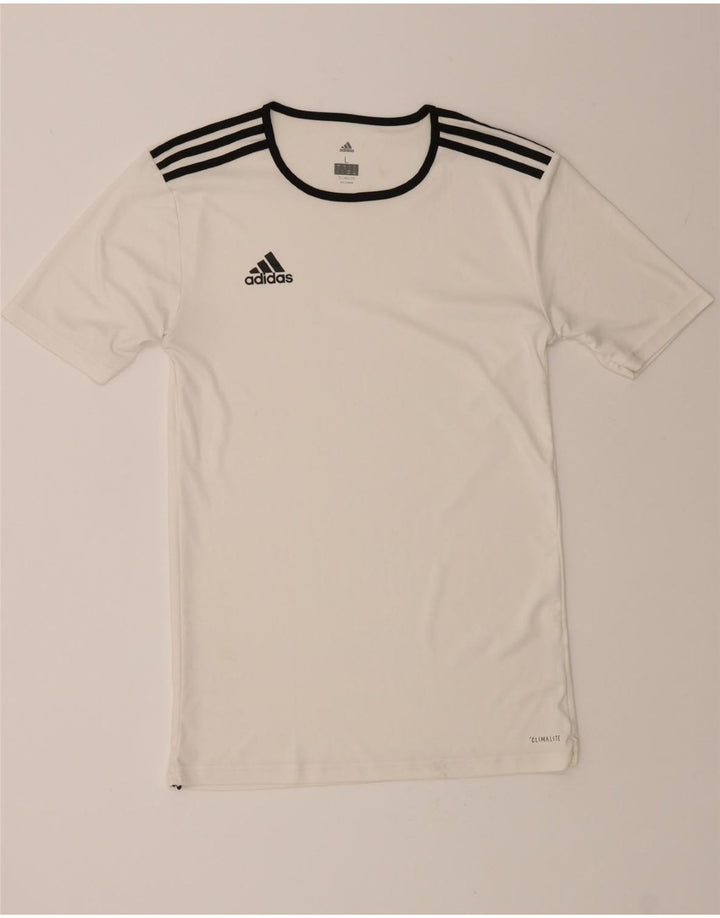ADIDAS Mens Climalite T-Shirt Top Large White Vintage Adidas and Second-Hand Adidas from Messina Hembry 