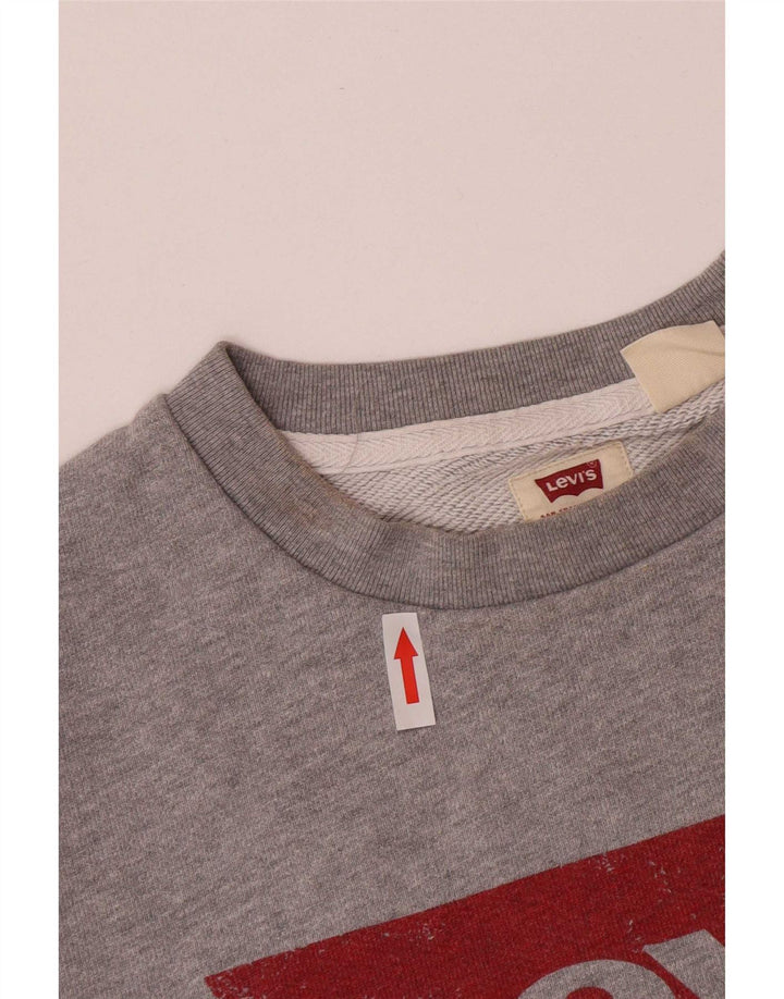 Felpa grafica da uomo Levi's, piccola, in cotone grigio
