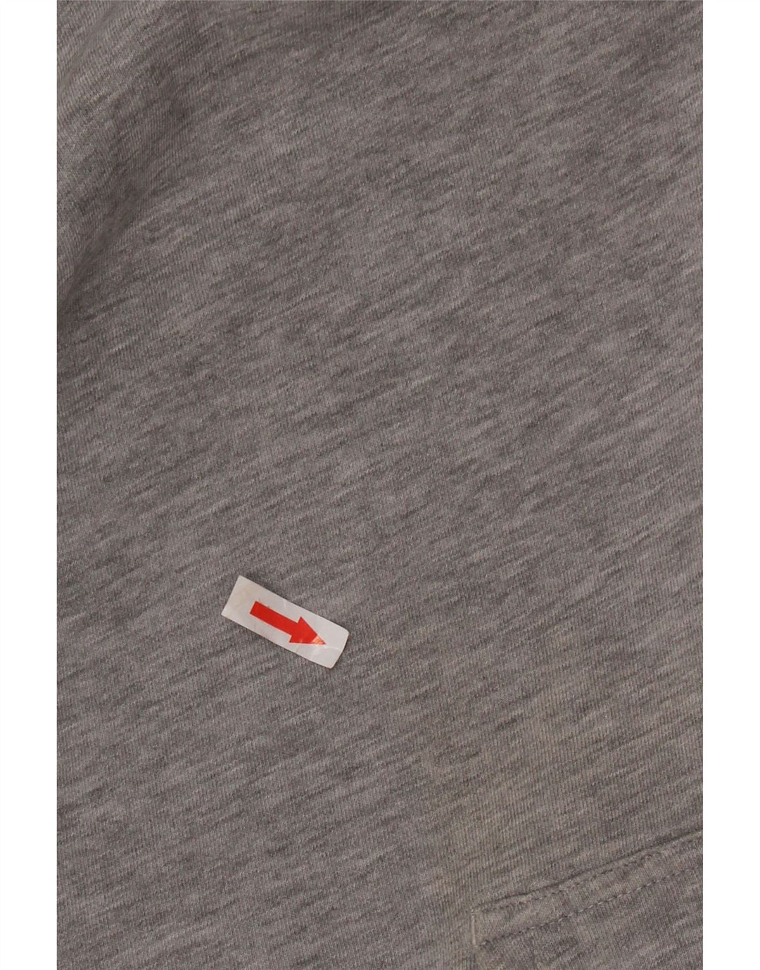 Felpa con cappuccio da uomo Champion Large in cotone grigio