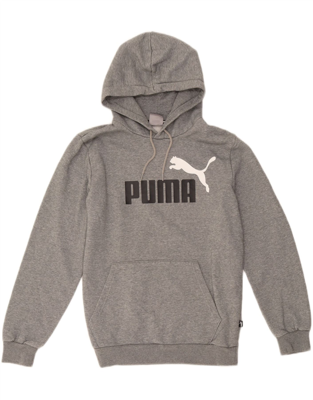 Felpa con cappuccio grafica da uomo Puma piccola in cotone grigio