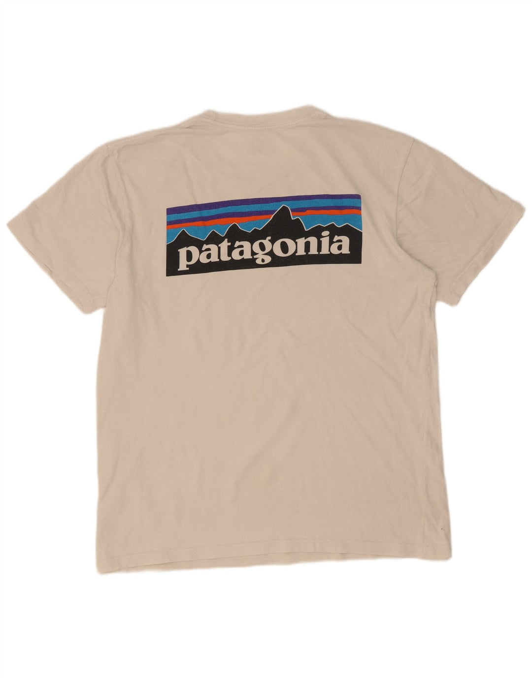 Patagonia T-shirt grafica da uomo con vestibilità regolare e top in cotone bianco medio