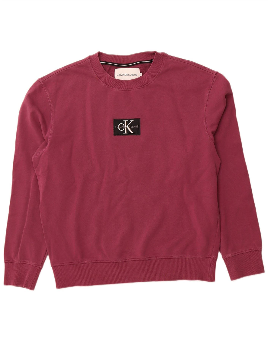 CALVIN KLEIN JEANS Felpa con grafica da uomo Maglione viola medio