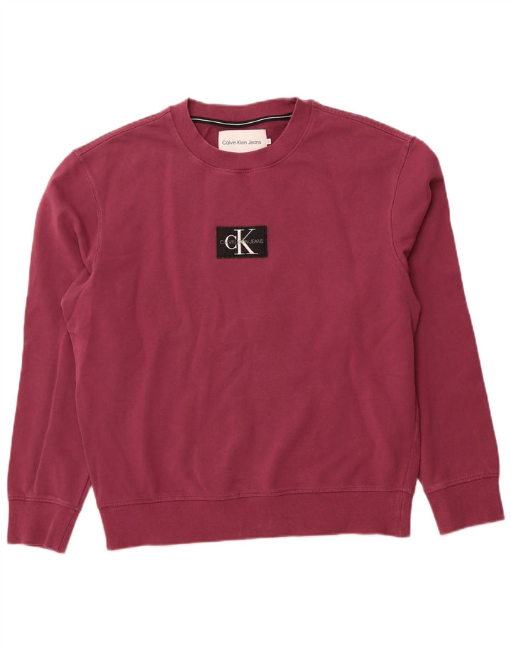 CALVIN KLEIN JEANS Felpa con grafica da uomo Maglione viola medio