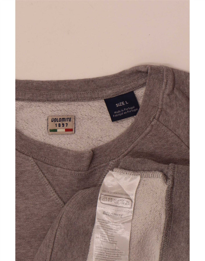 Felpa grafica da uomo Dolomite Maglione grande cotone chiazzato grigio