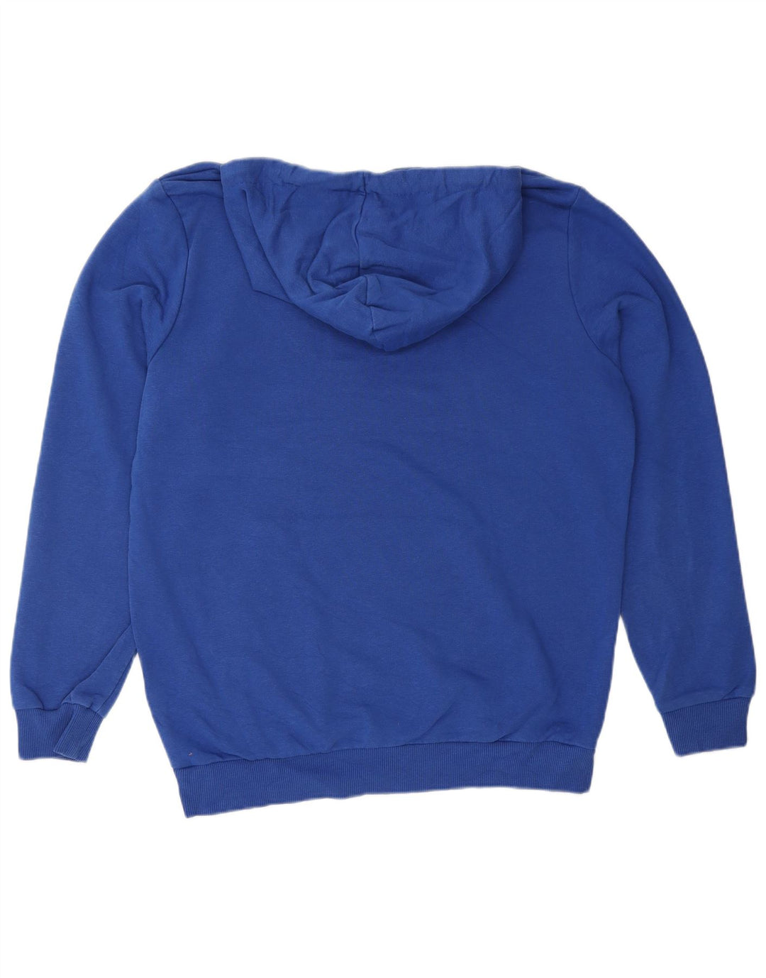 PUMA Mens Graphic Hoodie Jumper Medium Blue Cotton