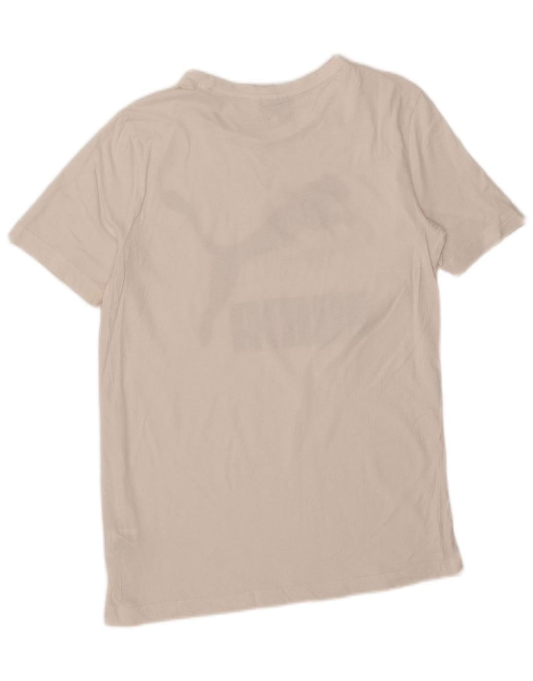 T-shirt grafica da uomo Puma Top Small in cotone bianco