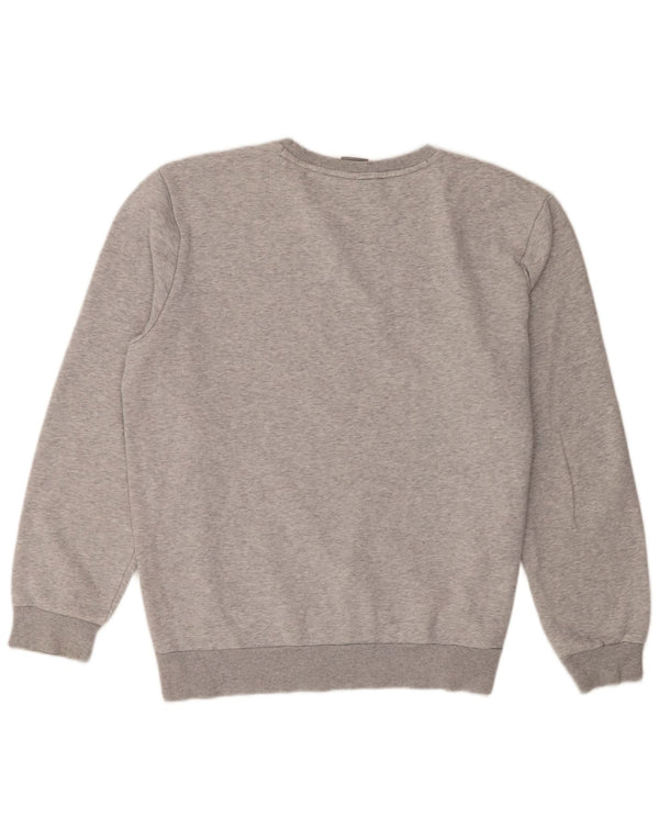 Felpa da uomo Puma Maglione grande grigio