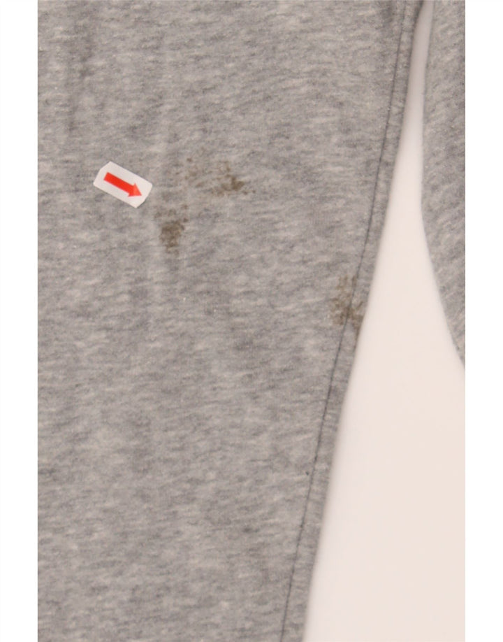 NIKE Mens Graphic Hoodie Jumper XS Grey Cotton Vintage Nike and Second-Hand Nike from Messina Hembry 