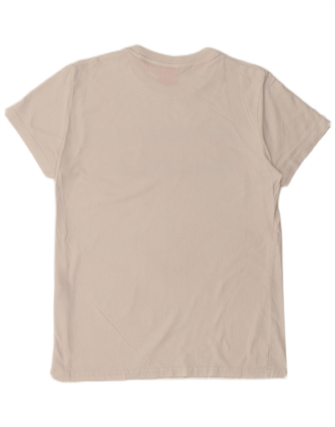 T-shirt grafica da uomo SUPERDRY Top in cotone bianco medio