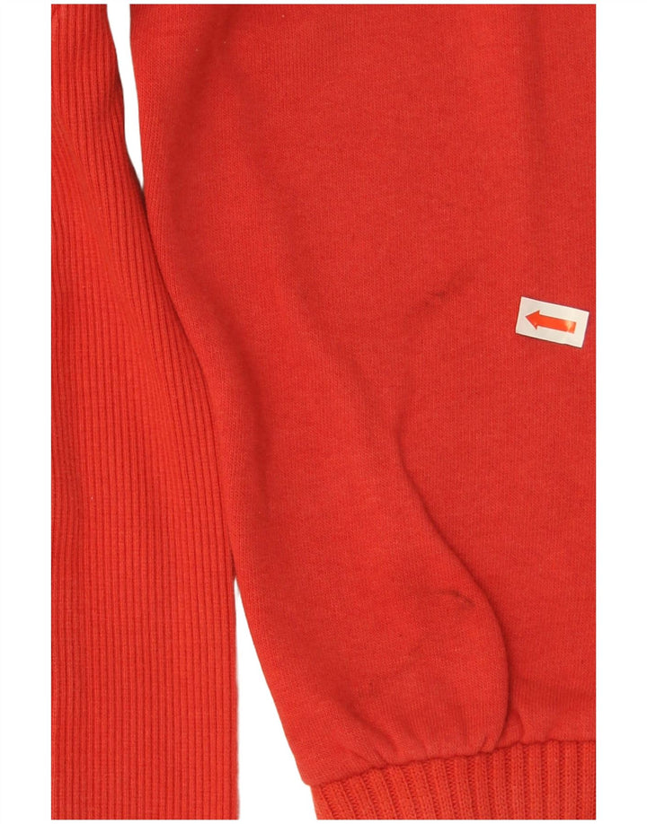 Felpa grafica da uomo Puma Maglione rosso medio in cotone