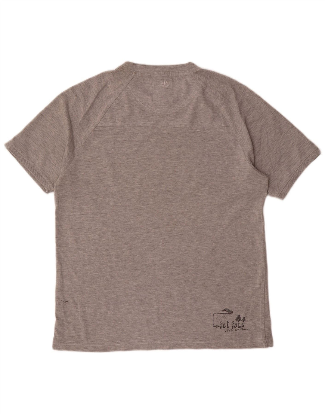 T-shirt grafica da uomo Fat Face Top piccola grigia