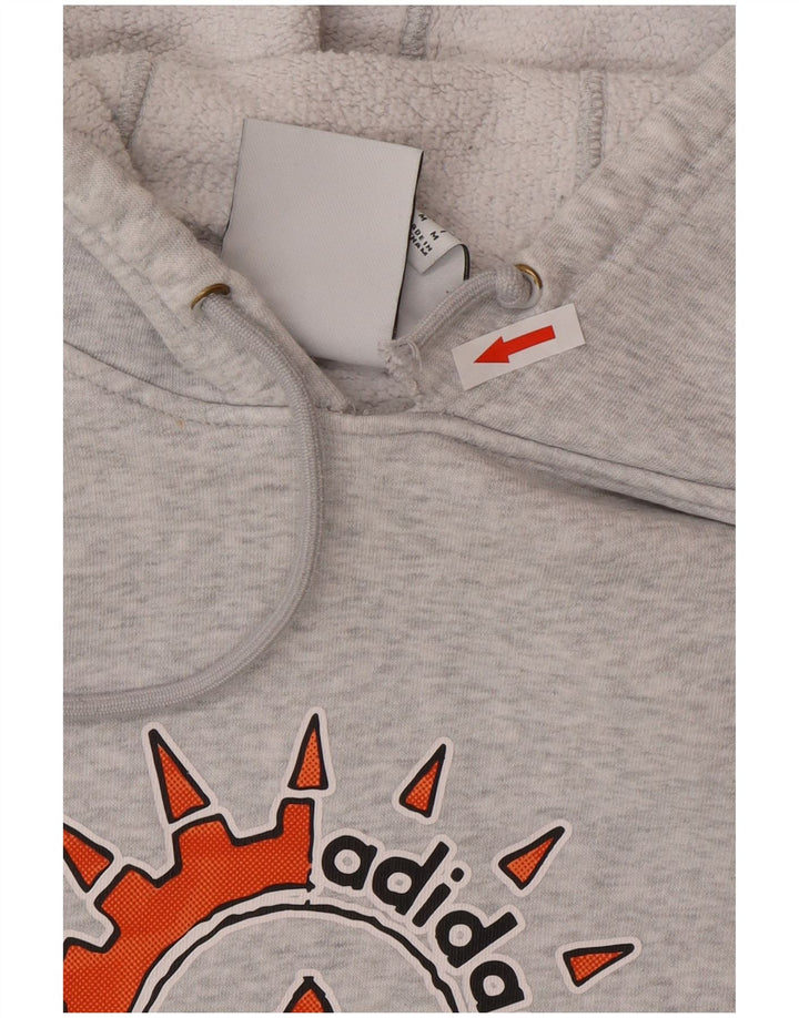 Felpa con cappuccio grafica da uomo Adidas in cotone grigio medio