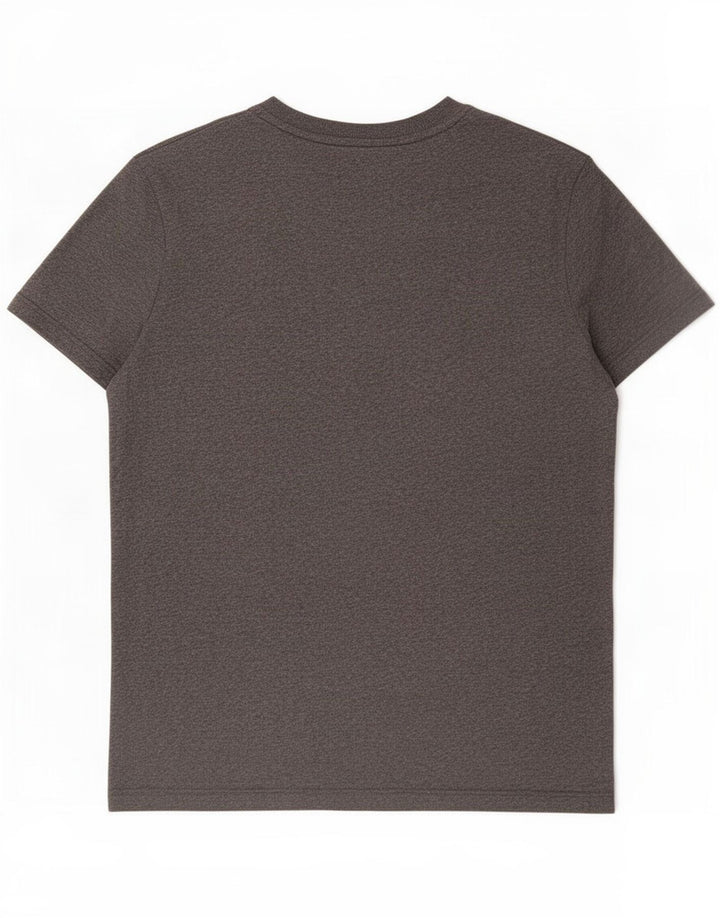 T-shirt da uomo Superdry Top Large Grigio