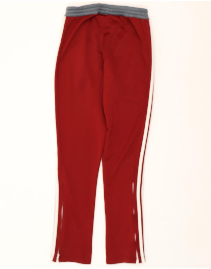 Pantaloni da tuta ADIDAS Climalite da uomo piccoli color bordeaux