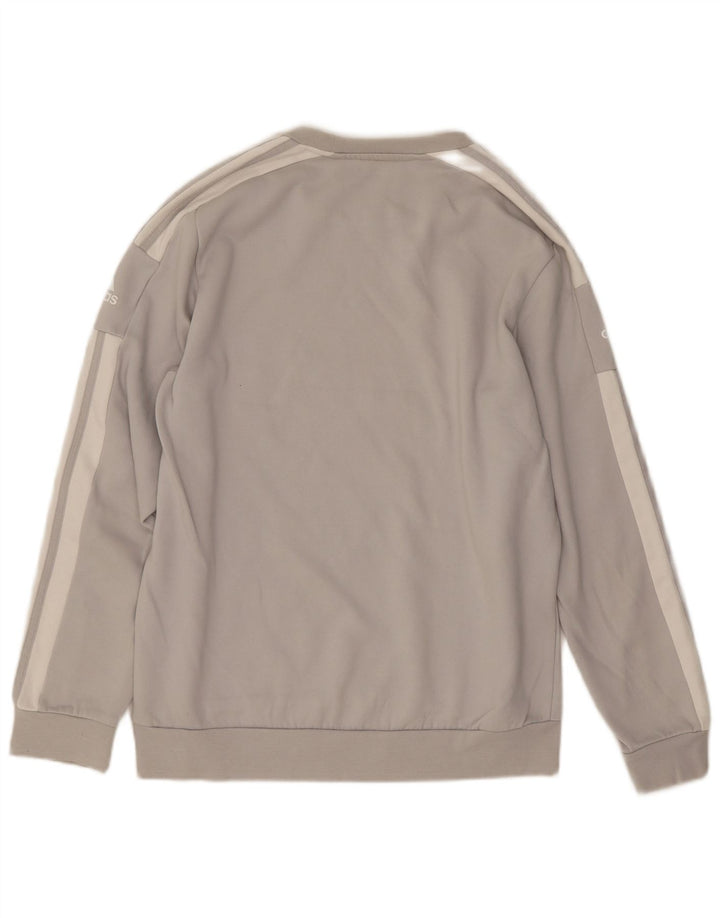 Felpa grafica da uomo Adidas Felpa in cotone grigio medio