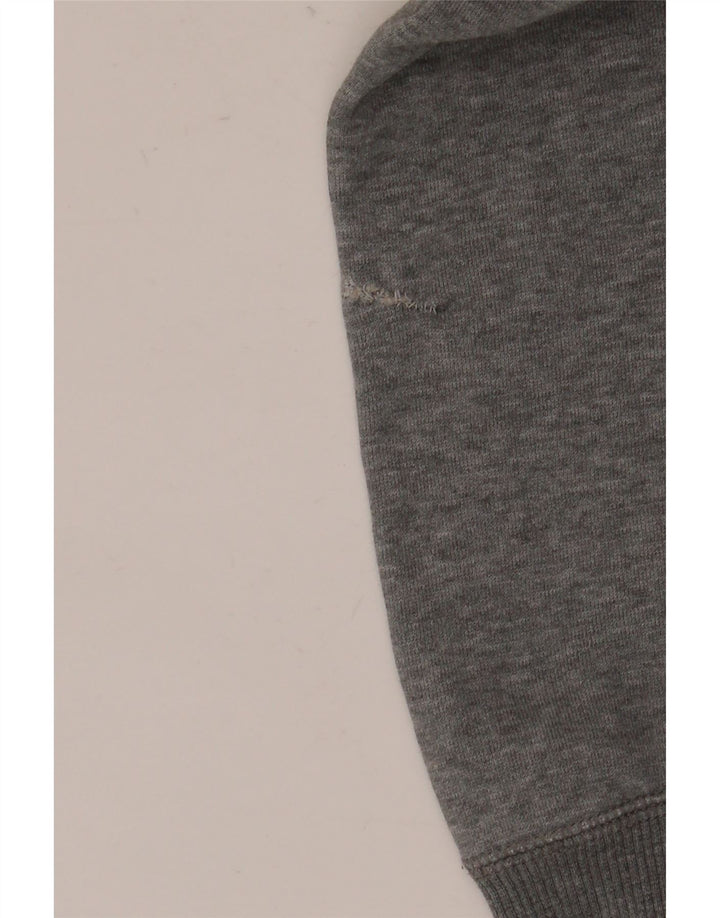 Felpa con cappuccio grafica da uomo Puma Grigio medio