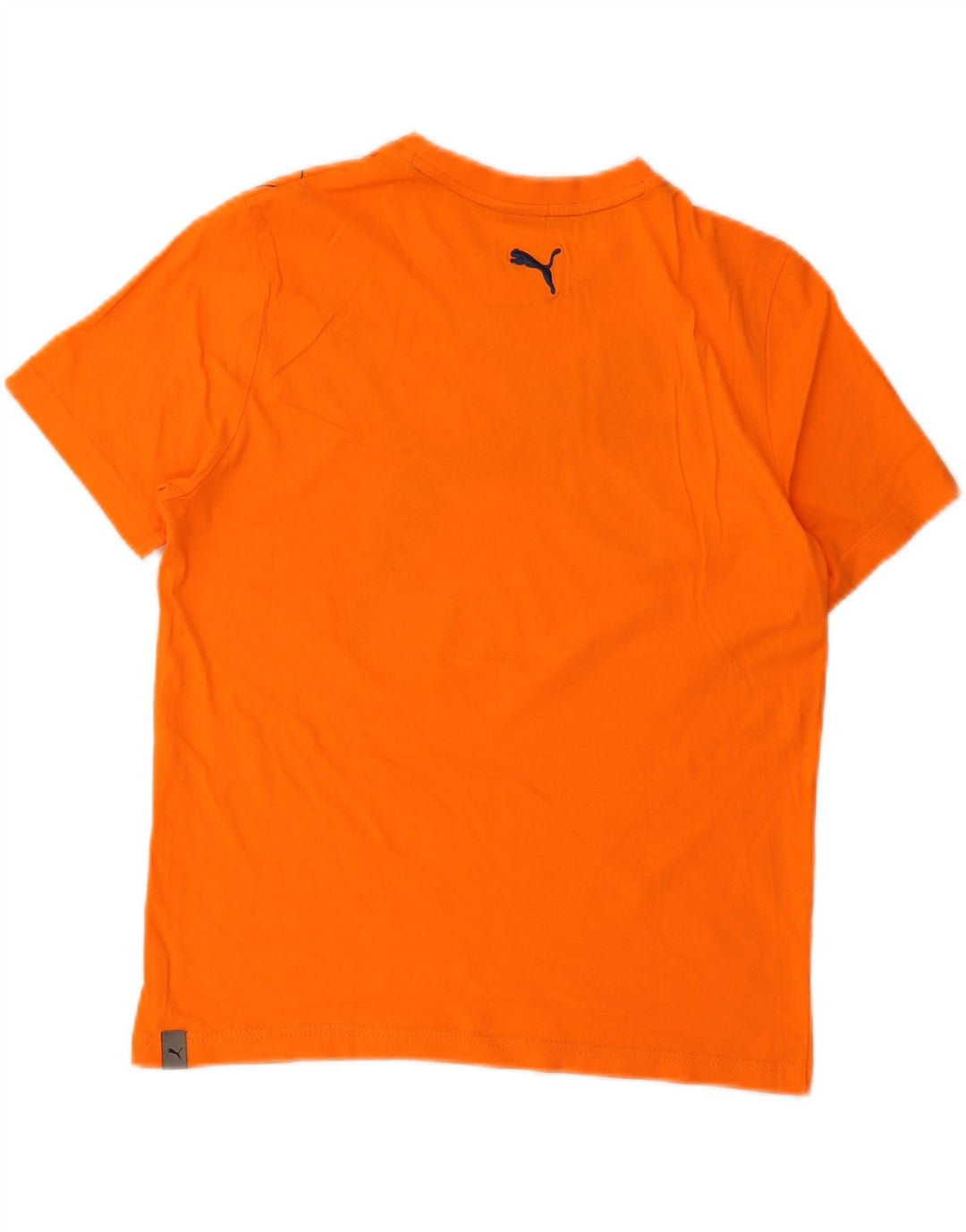 T-shirt grafica da uomo Puma Small arancione