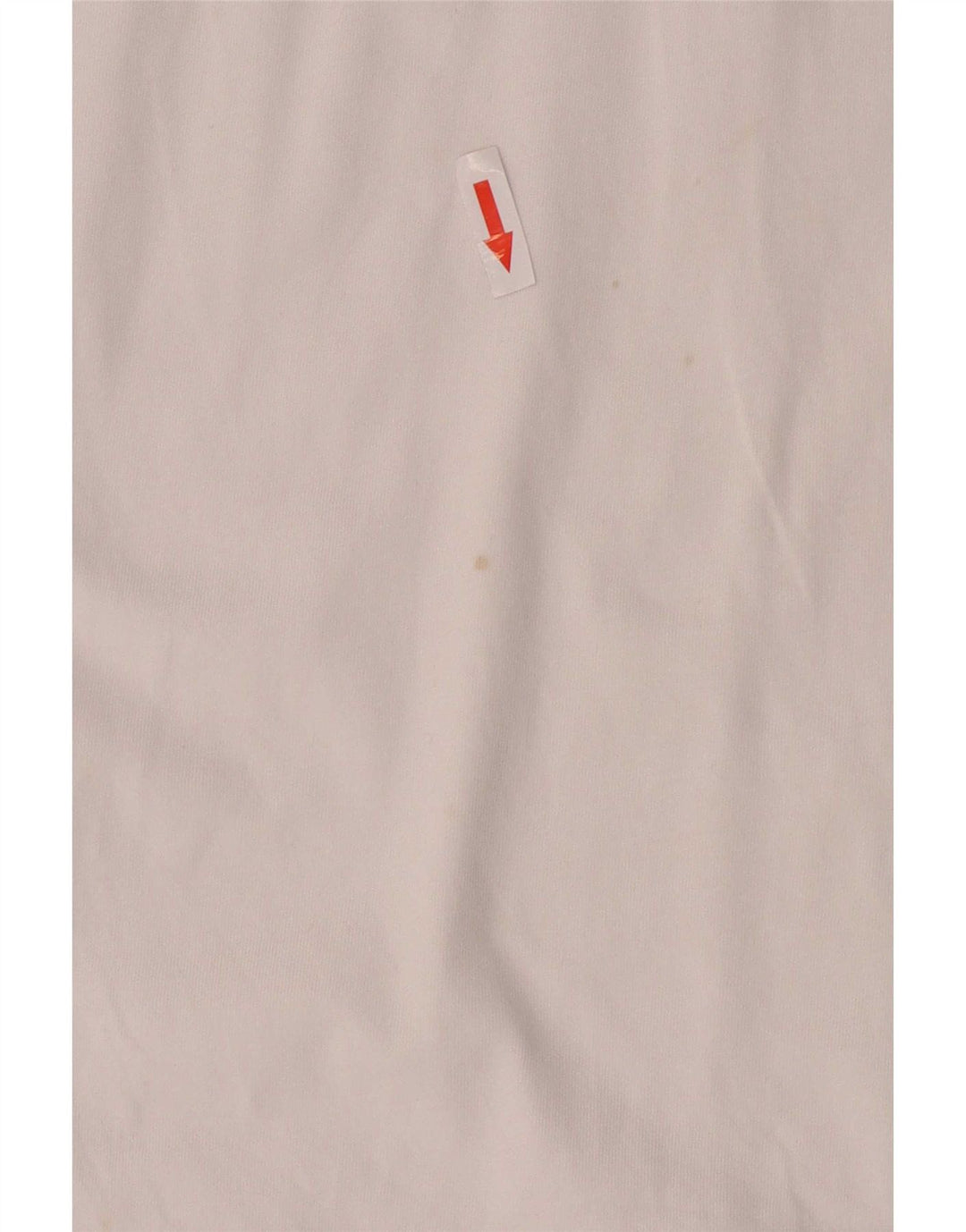 T-shirt grafica da uomo Puma Large bianca